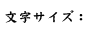 文字サイズ